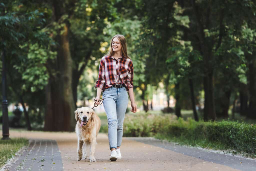 How to Increase Your Income by Dog Walking. Woman walking Golden Retriever