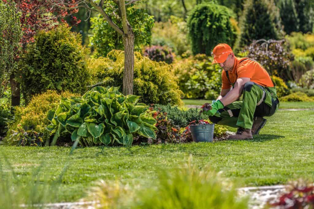 How To Increase Your Income by Gardening and Landscaping